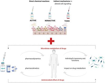 Clinical significance of microbiota changes under the influence of psychotropic drugs. An updated narrative review